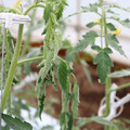 085004_20180601114223_04.JPG