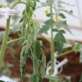 085004_20180601114225_01.JPG