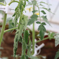 085004_20180601114225_03.JPG