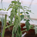 085004_20180601114226_02.JPG