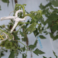 085004_20180601114329_01.JPG