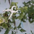 085004_20180601114330_01.JPG