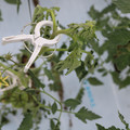 085004_20180601114330_03.JPG