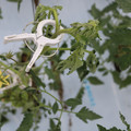 085004_20180601114330_04.JPG