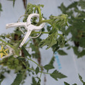 085004_20180601114330_05.JPG