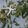 085004_20180601114331_01.JPG