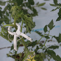 085004_20180601114331_04.JPG