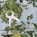 085004_20180601114332_02.JPG