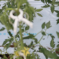 085004_20180601114332_05.JPG
