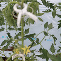 085004_20180601114333_02.JPG