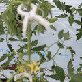 085004_20180601114334_01.JPG
