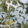 085004_20180601114334_03.JPG