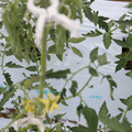 085004_20180601114334_05.JPG