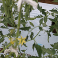 085004_20180601114335_02.JPG