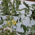 085004_20180601114335_03.JPG