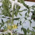 085004_20180601114335_05.JPG