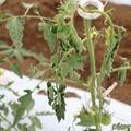 085004_20180601114418_04.JPG