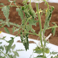 085004_20180601114419_03.JPG