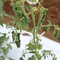085004_20180601114548_02.JPG