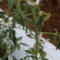 085004_20180601114551_02.JPG
