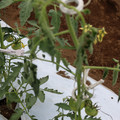 085004_20180601114551_03.JPG
