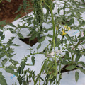 085004_20180601114744_01.JPG