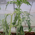 085004_20180601114933_02.JPG