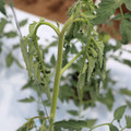 085004_20180601115012_02.JPG