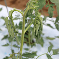 085004_20180601115013_02.JPG