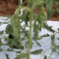 085004_20180601115015_05.JPG