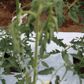 085004_20180601115016_04.JPG