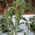 085004_20180601115017_02.JPG