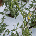 085004_20180601115121_01.JPG