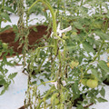 085004_20180611144831_02.JPG
