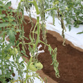 085004_20180611145041_04.JPG