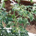085004_20180613141732_04.JPG