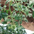 085004_20180613141749_01.JPG