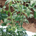 085004_20180613141749_03.JPG