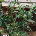 085004_20180613141759_01.JPG
