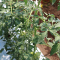 085004_20180613141915_03.JPG