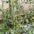 085004_20180613142006_01.JPG