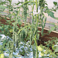 085004_20180613142033_02.JPG