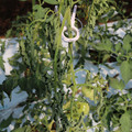 085004_20180613142103_01.JPG