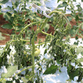 085004_20180613142139_02.JPG
