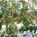 085004_20180613142141_05.JPG