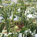 085004_20180613142144_02.JPG