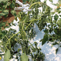 085004_20180613142159_02.JPG
