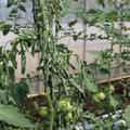 085004_20180613142239_01.JPG