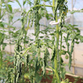 085004_20180613142254_02.JPG
