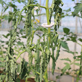 085004_20180613142256_02.JPG